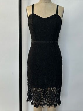 Simply Styled Black Lace Mini Dress